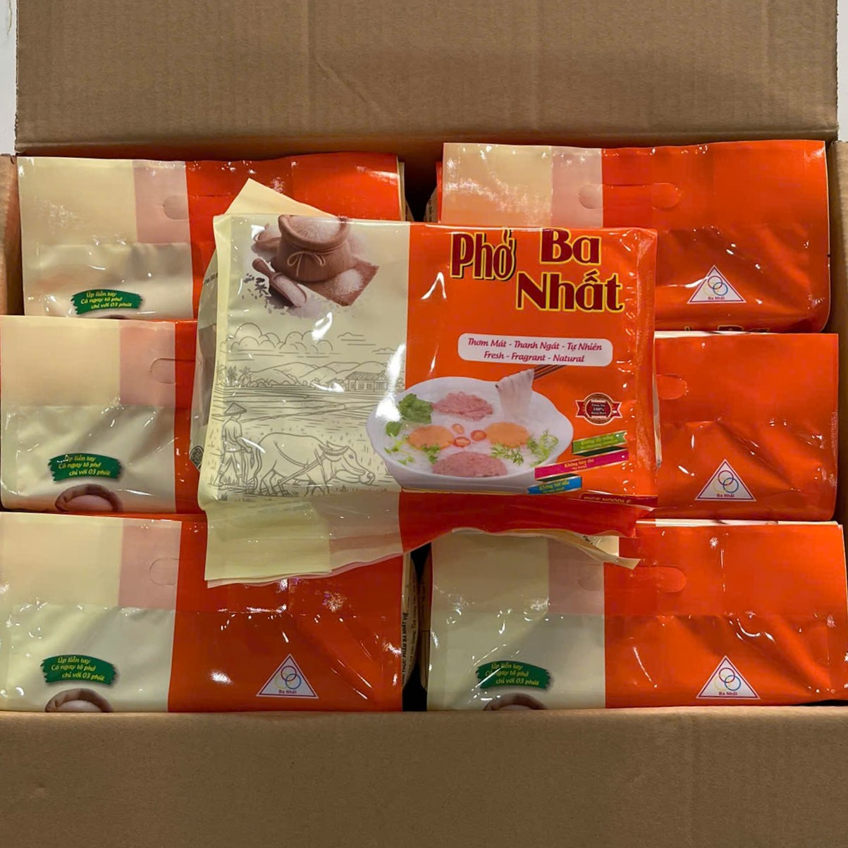 Ba Nhat Dried Rice Noodles – Large-Scale Production, Ready for Distribution and Export